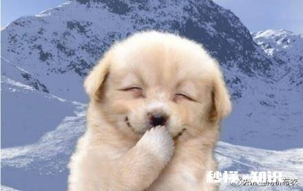 初恋被渣男伤了心，我应不应该去安慰她