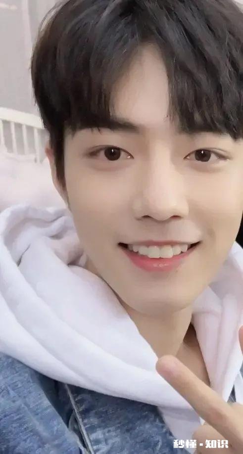 有没有肖战治愈系笑容的图片