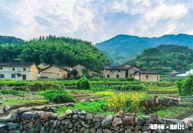 疫情之后，各位会不会以后在农村准备居住为什么