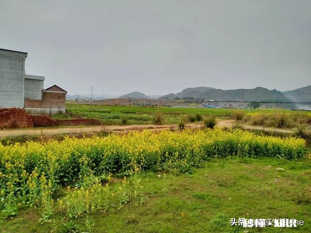 疫情之后，各位会不会以后在农村准备居住为什么