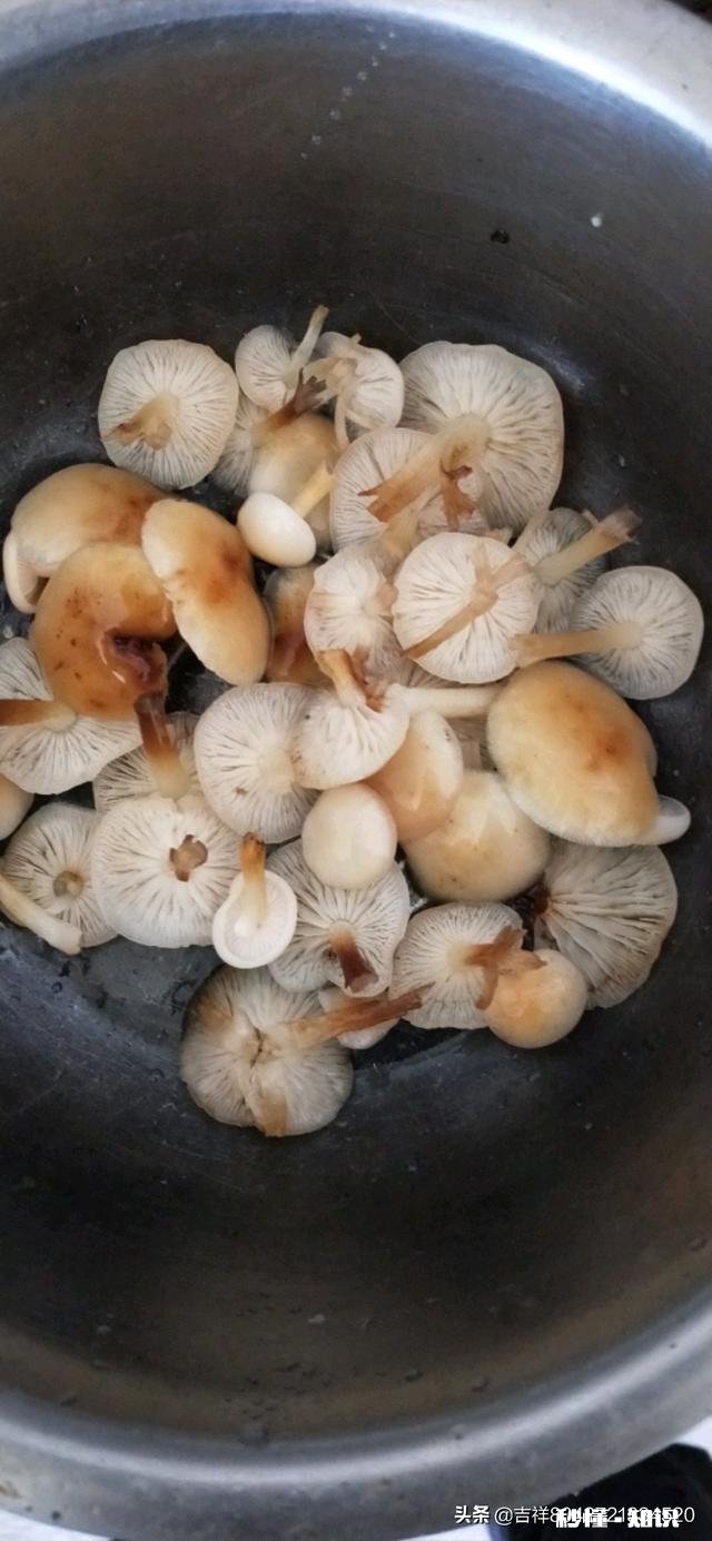 大雪节气进补什么比较好