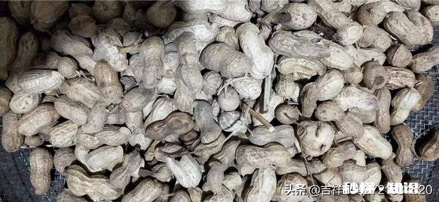 大雪节气进补什么比较好