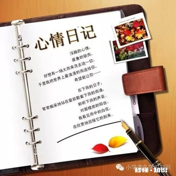 你在头条是读内容还是读感情