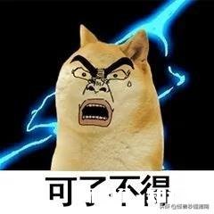 已经4月中旬了，还没开学幼升小的孩子该怎么办