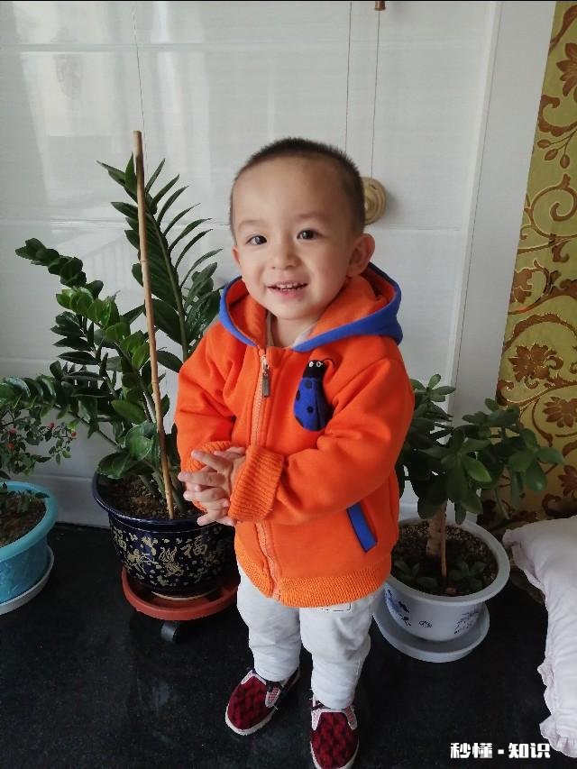 已经4月中旬了，还没开学幼升小的孩子该怎么办