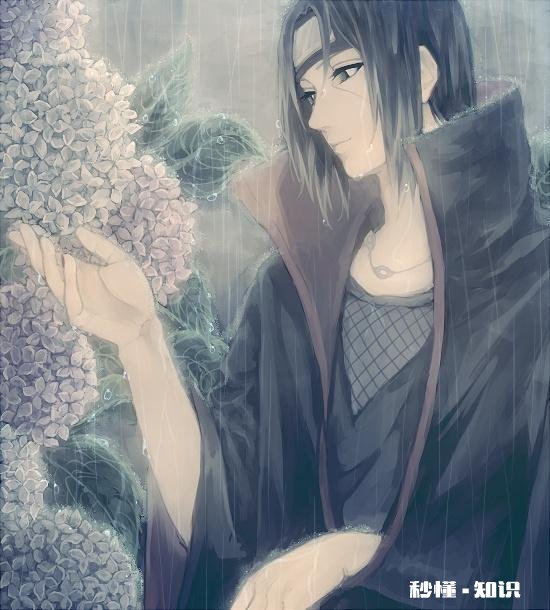 谁有火影忍者的手机壁纸