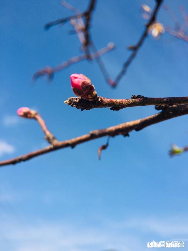 有人说不想在年幼时遇到太惊艳的人，为什么
