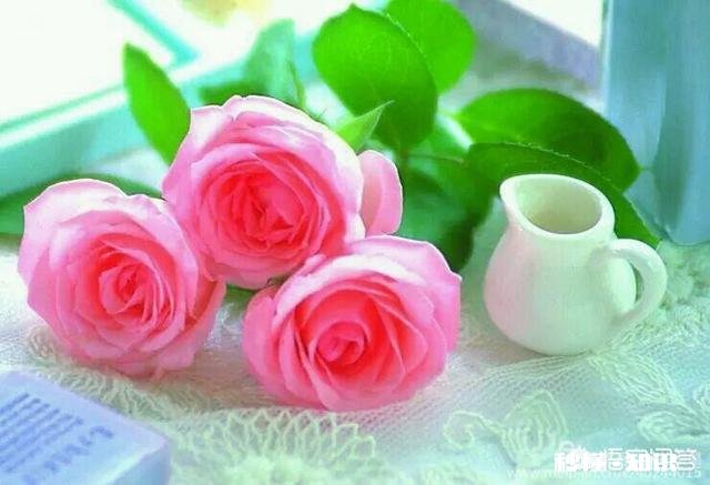 真的有相爱而不能在一起的情侣吗是怎样的体会