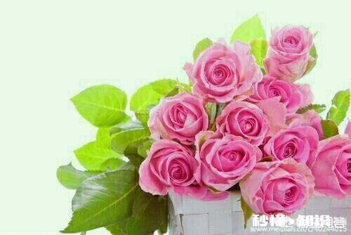 真的有相爱而不能在一起的情侣吗是怎样的体会