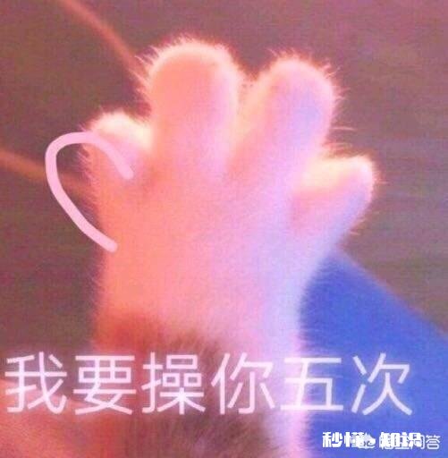 有哪些可以哄女友开心的表情包,让你屡试屡验