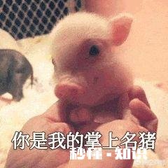 有哪些可以哄女友开心的表情包,让你屡试屡验