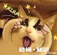 如何用一句话来证明你曾经是一位传奇骨灰级玩家