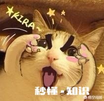 如何用一句话来证明你曾经是一位传奇骨灰级玩家