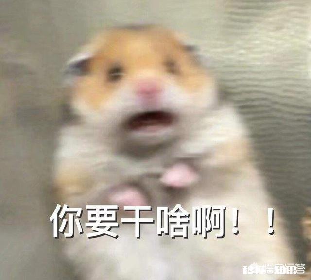 鞋子扣子生锈了怎么办