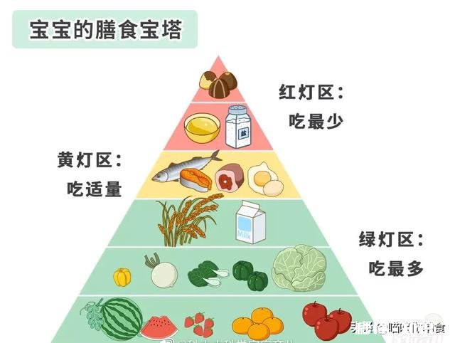 10个月会爬的宝宝吃什么辅食好