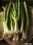 今年种葱怎么样