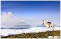 老公从来没有在朋友圈晒过我的照片，是因为他觉得我丑吗