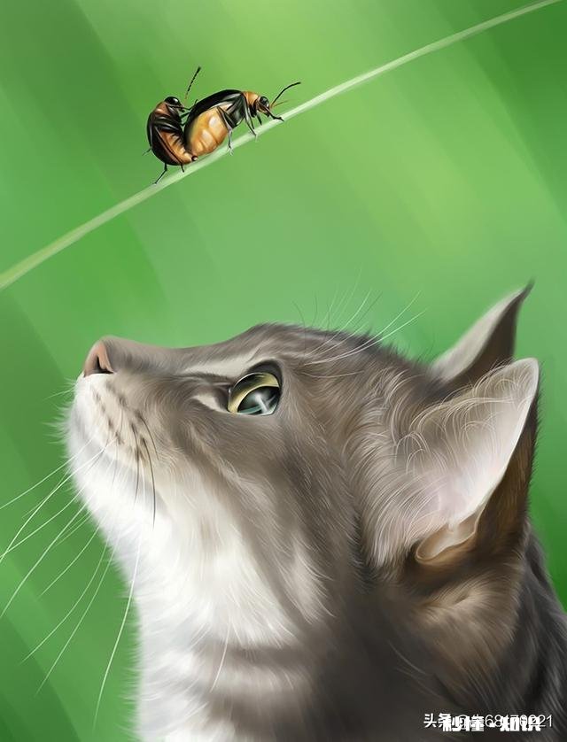 为什么越是孤独的人越是很晚才睡