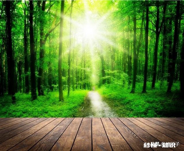 如果我哭了你会怎么办