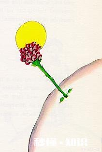 如果我哭了你会怎么办