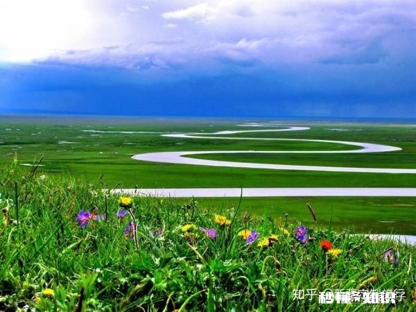 如果我哭了你会怎么办