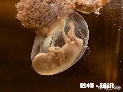 怀孕初期总是睡到半夜就醒，该怎么办