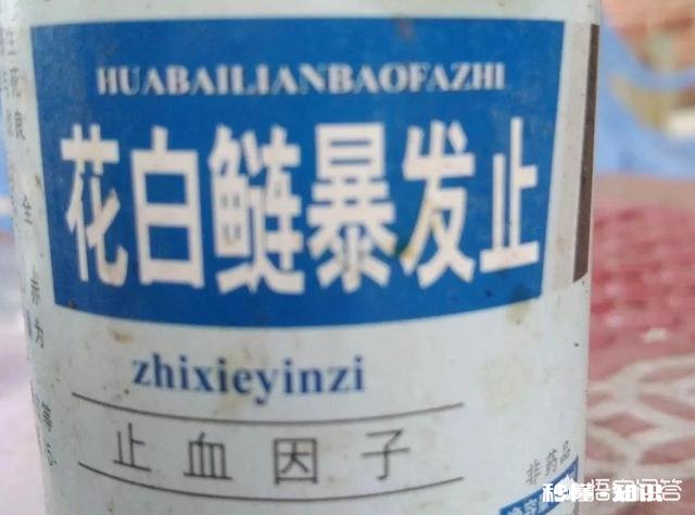 鱼塘每天都死白鲢和鲫鱼十几天，怎么治