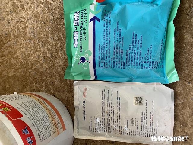 鱼塘每天都死白鲢和鲫鱼十几天，怎么治