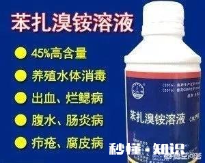 鱼塘每天都死白鲢和鲫鱼十几天，怎么治