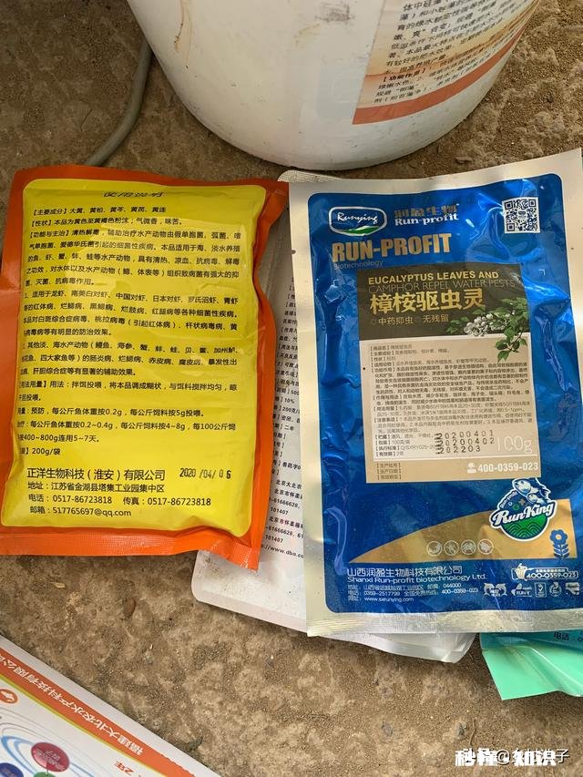 鱼塘每天都死白鲢和鲫鱼十几天，怎么治