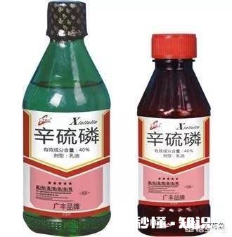 鱼塘每天都死白鲢和鲫鱼十几天，怎么治