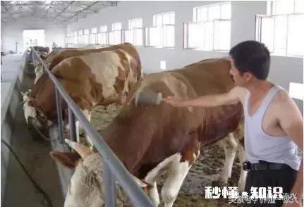 如果放弃高薪国企上班工作，改行农村发展养殖业，你觉得呢