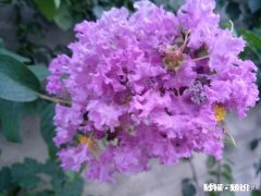 如果放弃高薪国企上班工作，改行农村发展养殖业，你觉得呢