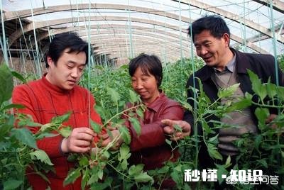 你家的大棚用自动控温机了吗