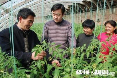 你家的大棚用自动控温机了吗