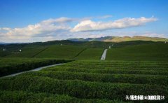 一些年轻人外出工作，留下老人在家护理茶园，以后会不会改变呢你怎么看