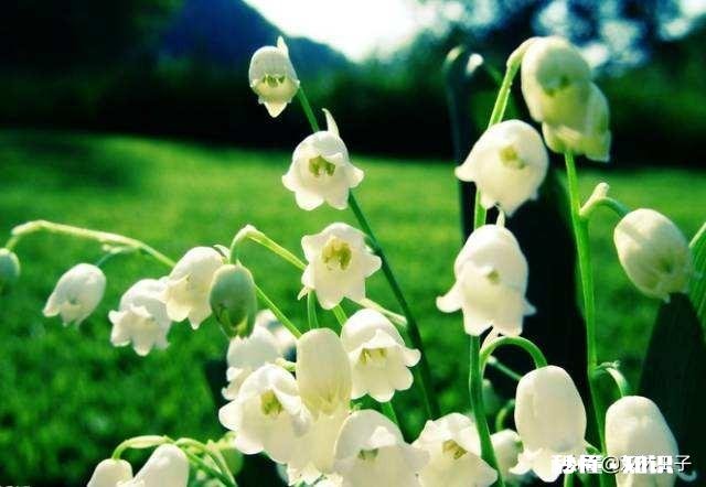 为什么现在的淘宝店那么难做销量做不起来怎么办呢