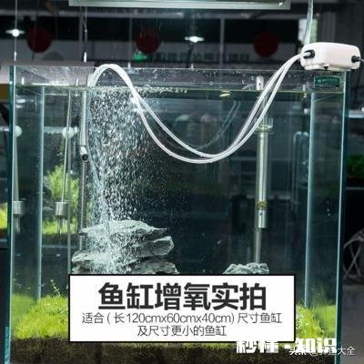 如果晚上关掉鱼缸氧气只开过滤对硝化细菌有什么影响