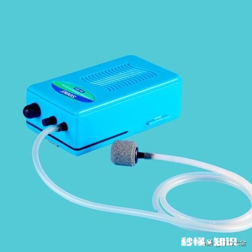 如果晚上关掉鱼缸氧气只开过滤对硝化细菌有什么影响