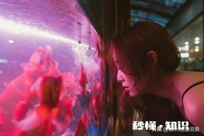 如果晚上关掉鱼缸氧气只开过滤对硝化细菌有什么影响