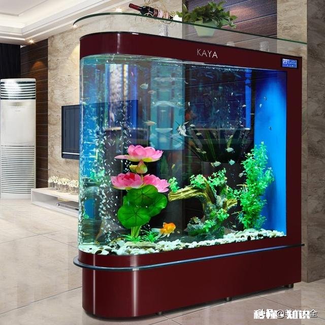 如果晚上关掉鱼缸氧气只开过滤对硝化细菌有什么影响