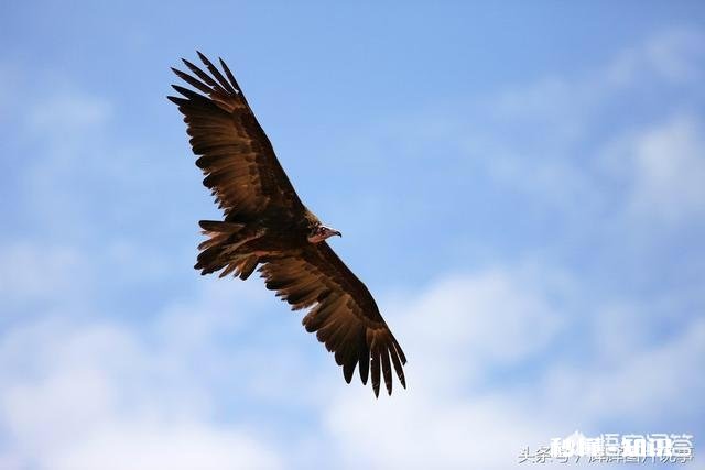 最想送给自己孩子的一句祝福的话是什么