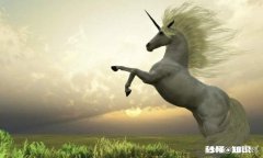 20周均线、120周均线和250周均线，上三线就买吗