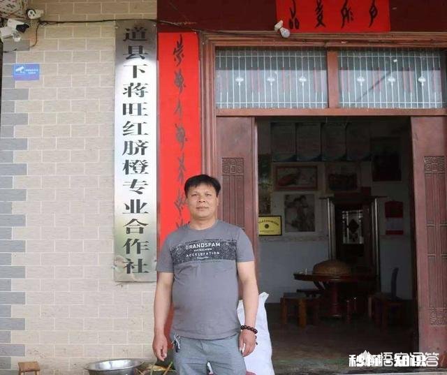 种植中药材，怎样才能获得更高的利润