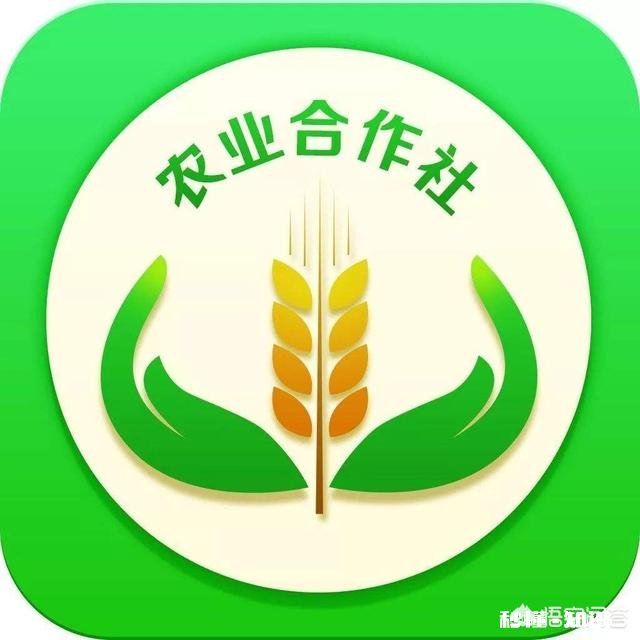 种植中药材，怎样才能获得更高的利润