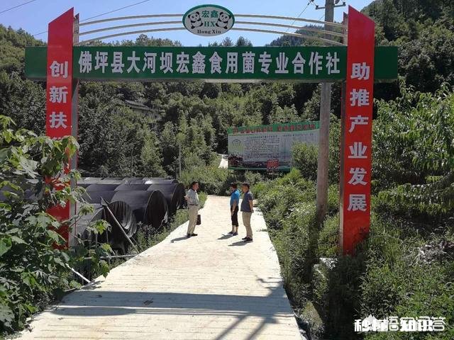 种植中药材，怎样才能获得更高的利润