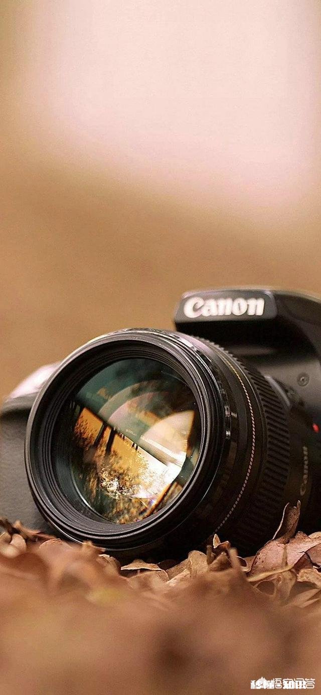 用单反相机你们都给套保护壳吗有什么优缺点