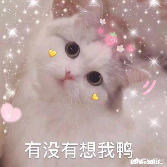 一个女生同时交往多个男朋友，你认为你这是渣吗