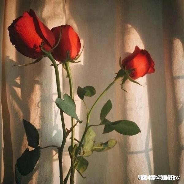 两个人生活在同一屋檐下却无话可说,婚姻的存在是否还有意义