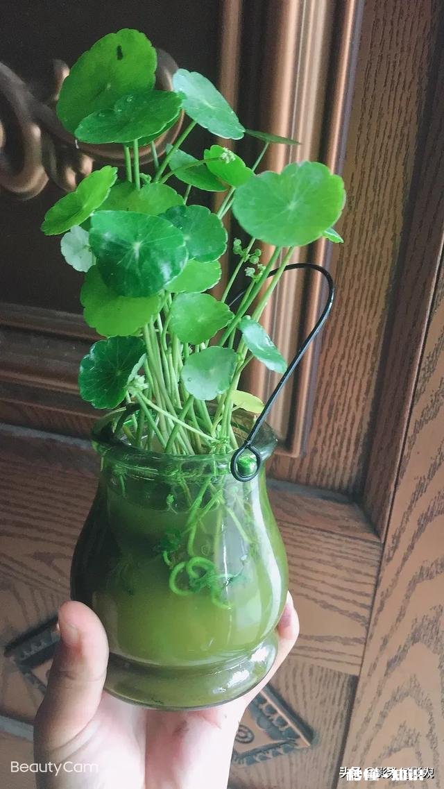 男朋友总是花我的钱该怎么办